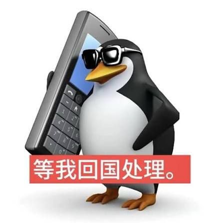分享一下旅行证回国经历