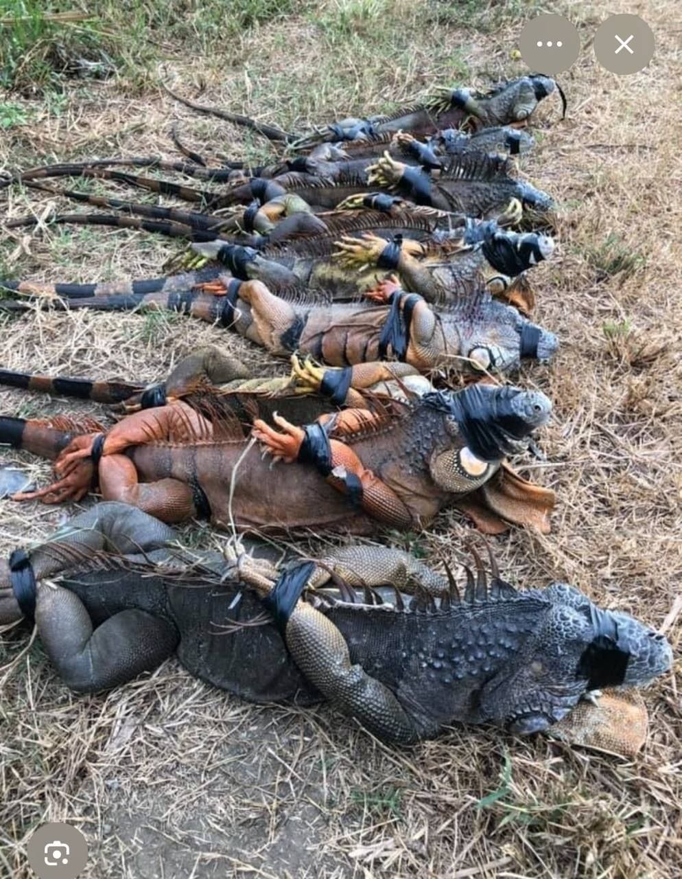 送给那些热衷于随手拍、乱曝光的“摄影师”们 大家都在泥潭里，别活成最可悲的那一个
